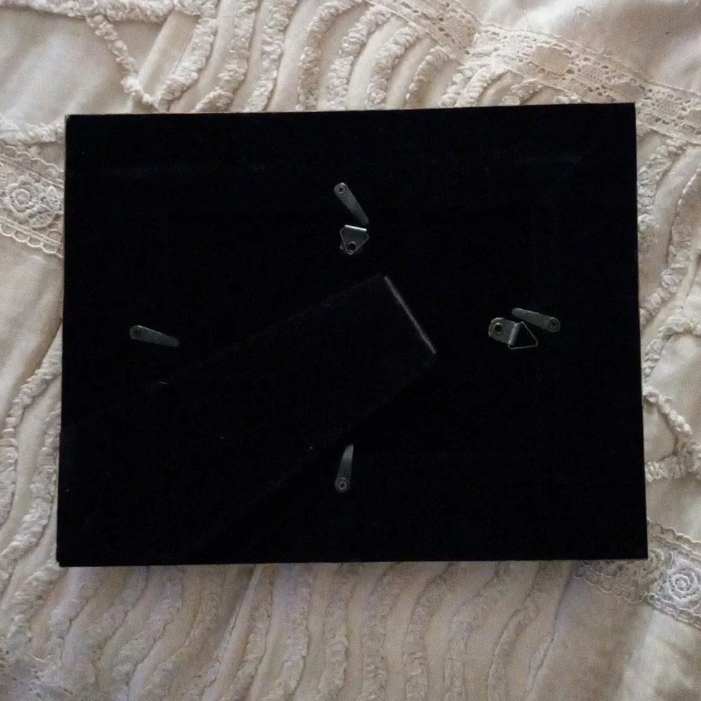 Special Moments Hand Painted Floral Picture Frames w/Velvet Back 4x6 Set of 2